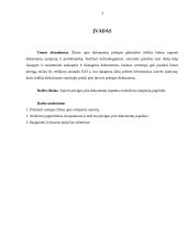 Dokumentų prieigos tezės 3 puslapis