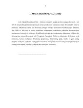 Dokumentų prieigos tezės 4 puslapis