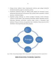 Dokumentų prieigos tezės 8 puslapis