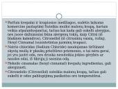Asmens higienos produktų sudedamųjų dalių ir jų poveikio sveikatai vertinimas  6 puslapis