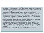 Asmens higienos produktų sudedamųjų dalių ir jų poveikio sveikatai vertinimas  7 puslapis