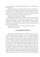 BFI metodikos didysis penketas: už ir prieš ir savo rezultatų pristatymas 4 puslapis