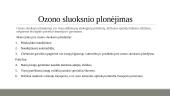 Pasaulinė klimato kaita 5 puslapis