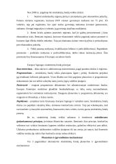 Europos Sąjungos struktūriniai fondai 4 puslapis