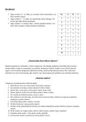 Matematinės vakaronės planas 3 puslapis