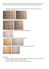 Matematinės vakaronės planas 5 puslapis