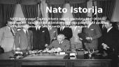NATO aljansas: istorija bei veikla 2 puslapis