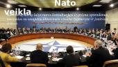 NATO aljansas: istorija bei veikla 4 puslapis
