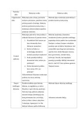 Pamokos planas-konspektas: "Fašistinė Italija" 2 puslapis