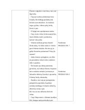 Pamokos planas: akmens amžius 3 puslapis