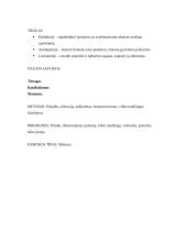 Pamokos planas: akmens amžius 5 puslapis