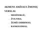 Pamokos planas: akmens amžius 8 puslapis