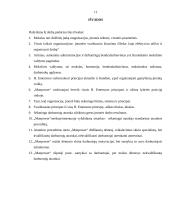 F. Tailoro principų analizė 11 puslapis