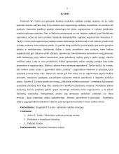 F. Tailoro principų analizė 3 puslapis