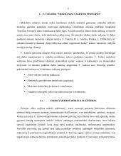 F. Tailoro principų analizė 4 puslapis