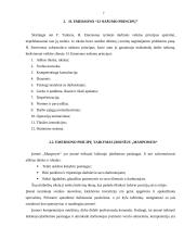 F. Tailoro principų analizė 7 puslapis