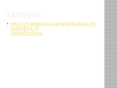 Mikalojus Konstantinas Čiurlionis. Biografija, kūryba 8 puslapis