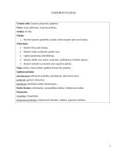 Pamokos planas: karjeros planavimo ugdymas 2 puslapis