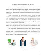 Pamokos planas: karjeros planavimo ugdymas 4 puslapis