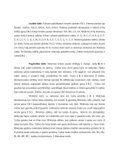 Lietuvių kalbos 1 klasės pamokos planas 3 puslapis