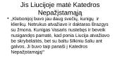 Altorių šešėly. Katedros nepažįstamoji 4 puslapis