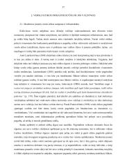 Verslo etika ir jos vaidmuo modernizuojant įmonės valdymą 17 puslapis