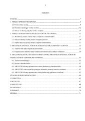 Verslo etika ir jos vaidmuo modernizuojant įmonės valdymą 3 puslapis