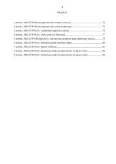 Verslo etika ir jos vaidmuo modernizuojant įmonės valdymą 4 puslapis