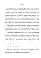 Verslo etika ir jos vaidmuo modernizuojant įmonės valdymą 7 puslapis