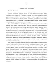 Verslo etika ir jos vaidmuo modernizuojant įmonės valdymą 9 puslapis