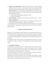 Keinsistinis požiūris 2 puslapis