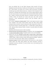 Keinsistinis požiūris 13 puslapis