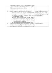 Pamokos planas: Žalgirio mūšis ir Vytauto laikų Lietuva 4 puslapis