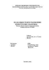 Ilgalaikio turto naudojimo efektyvumo valdymas  2 puslapis