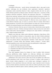 Ilgalaikio turto naudojimo efektyvumo valdymas  13 puslapis