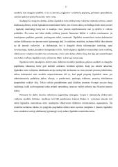 Ilgalaikio turto naudojimo efektyvumo valdymas  17 puslapis