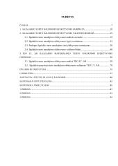 Ilgalaikio turto naudojimo efektyvumo valdymas  3 puslapis