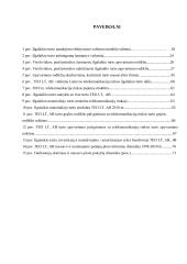 Ilgalaikio turto naudojimo efektyvumo valdymas  6 puslapis