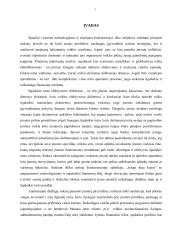 Ilgalaikio turto naudojimo efektyvumo valdymas  7 puslapis