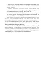 Ilgalaikio turto naudojimo efektyvumo valdymas  9 puslapis