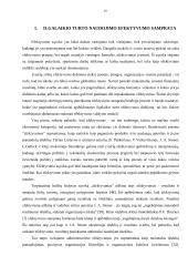 Ilgalaikio turto naudojimo efektyvumo valdymas  10 puslapis