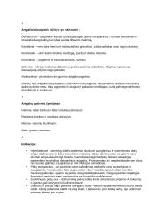 Aparatinis ir klasikinis pedikiūras 4 puslapis