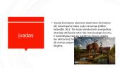 Černobylio atominės elektrinės avarija ir jos pasekmės 2 puslapis