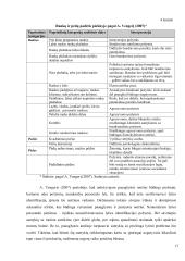 Piešinio analizės virtualioje erdvėje ypatybės 17 puslapis