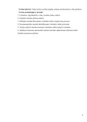 Piešinio analizės virtualioje erdvėje ypatybės 8 puslapis