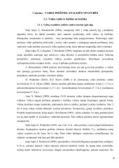 Piešinio analizės virtualioje erdvėje ypatybės 10 puslapis