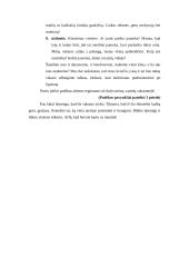 Renginio planas: "Tarmių vakaronė" 4 puslapis