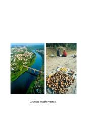 Renginio planas: "Tarmių vakaronė" 9 puslapis