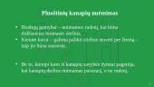Energetinis augalas pluoštinė kanapė 7 puslapis