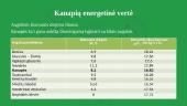 Energetinis augalas pluoštinė kanapė 8 puslapis